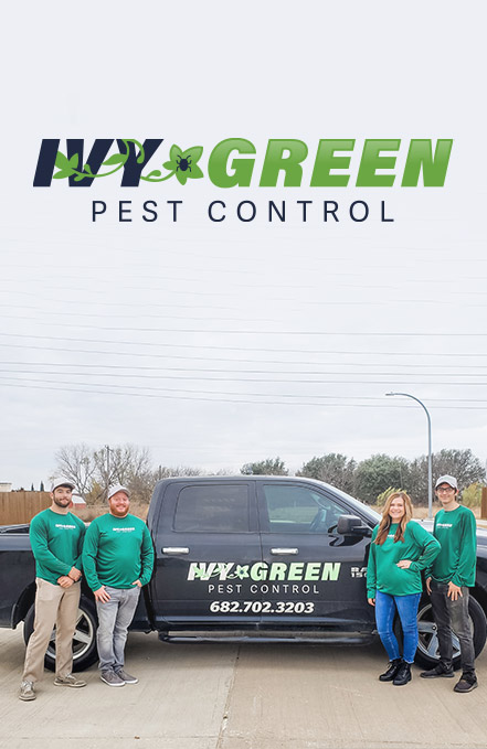 ivy greens pest control team in front of their black truck roanoke tx